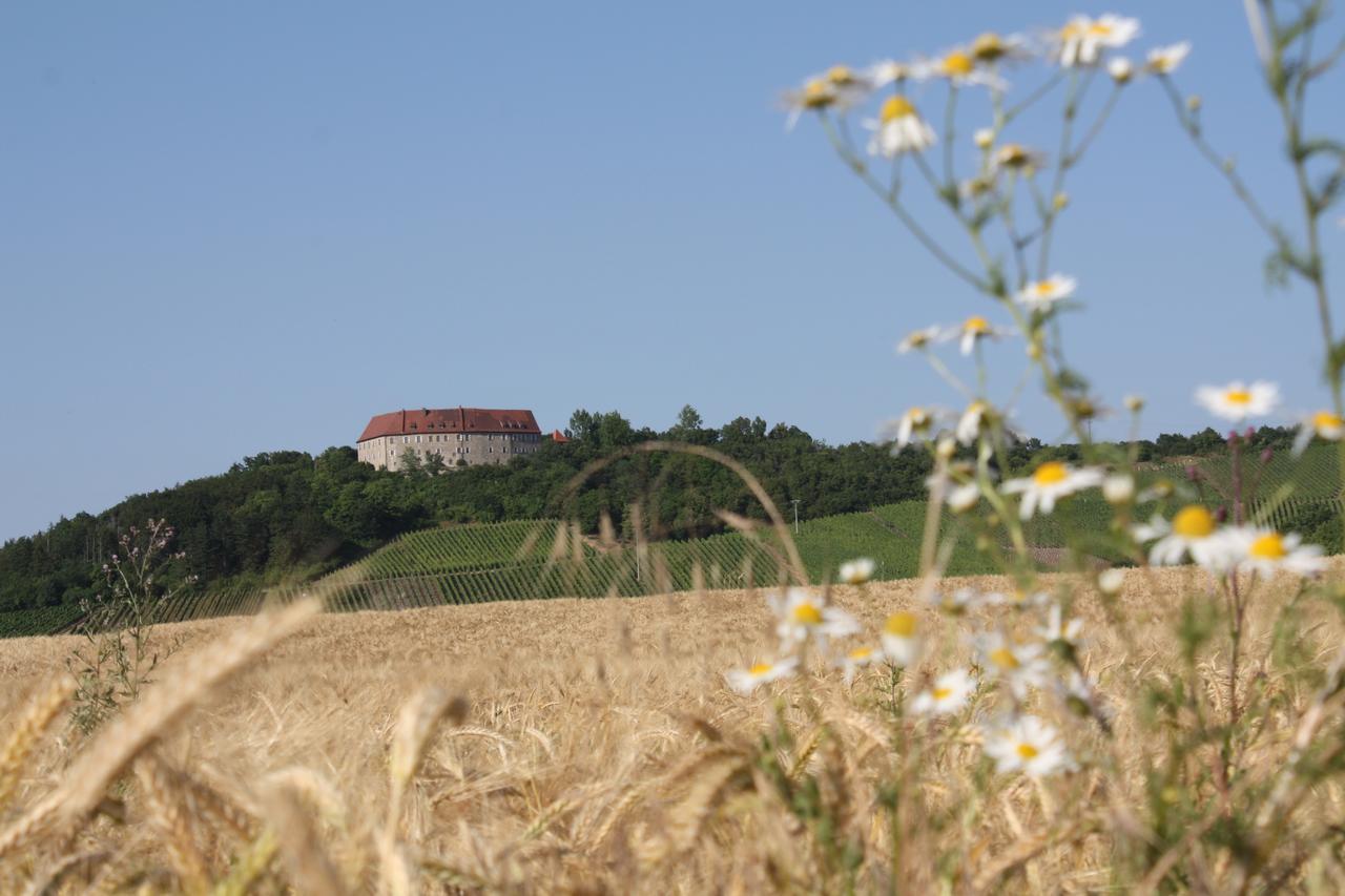 Schwarzer Adler - Hotel Garni Ipsheim Luaran gambar